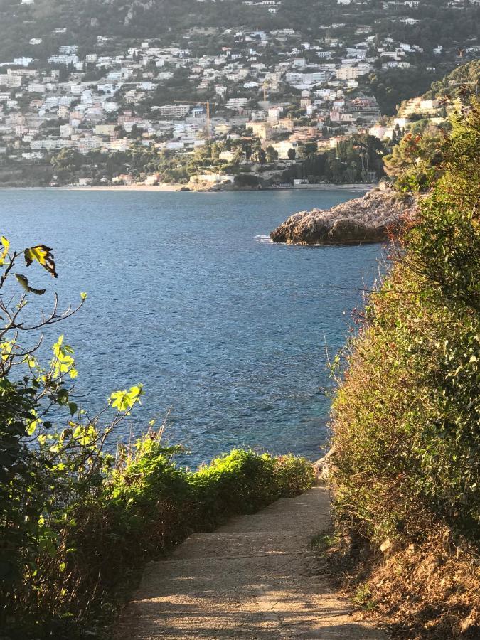 Les Lilas Roquebrune-Cap-Martin Bagian luar foto